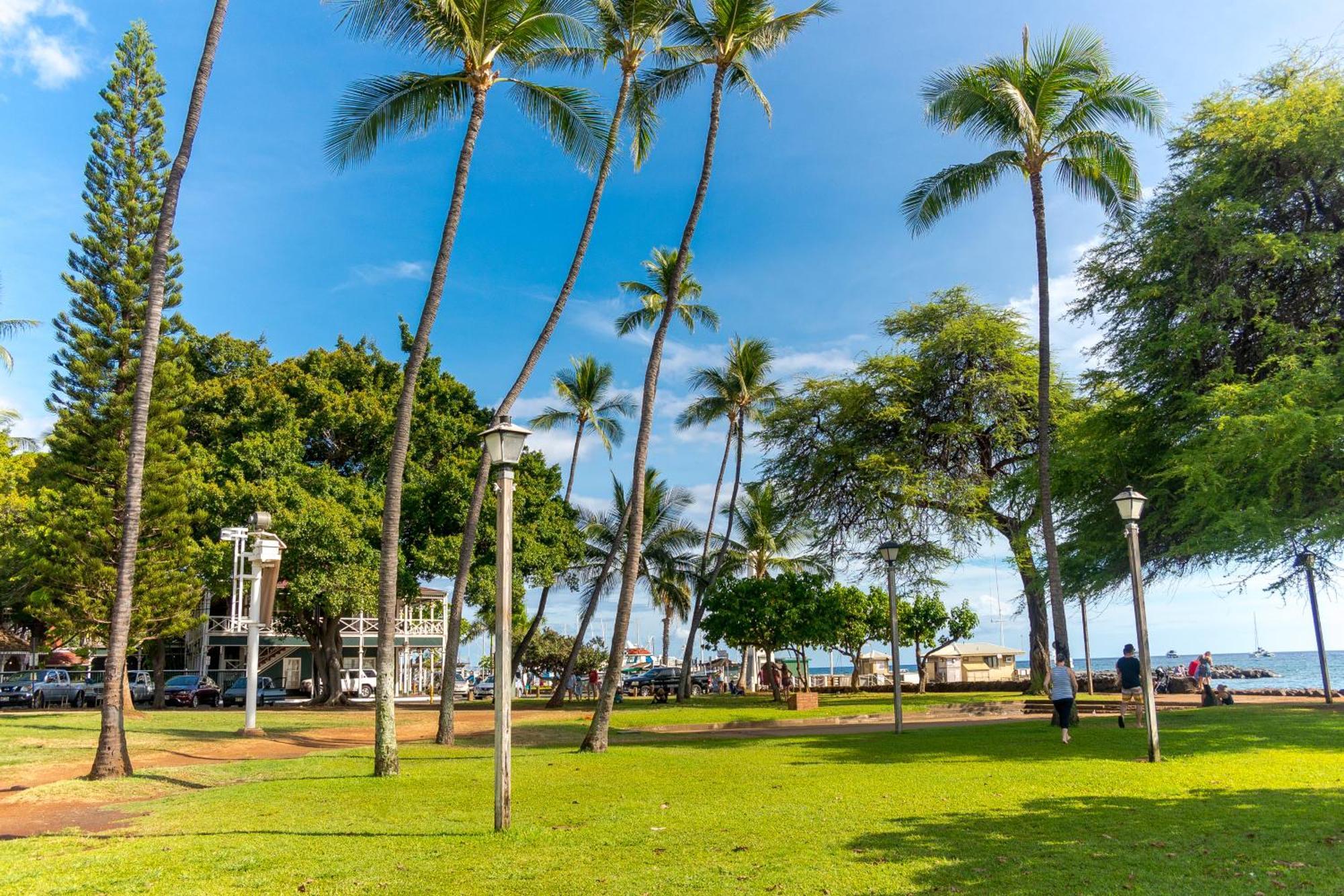 Ferienwohnung Paki Maui 222 Napili-Honokowai Zimmer foto